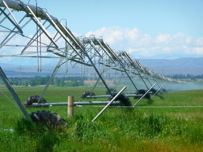 Sprayer sprinkling watering photo