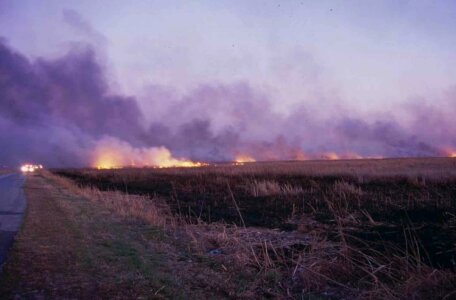 Road wild fire 