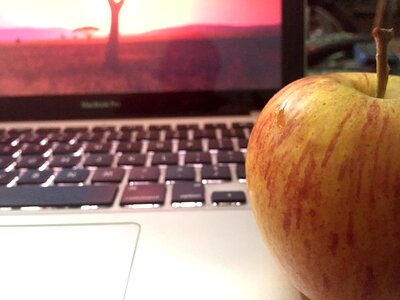 Apple macbook fruit