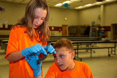 Students learn about bats-1