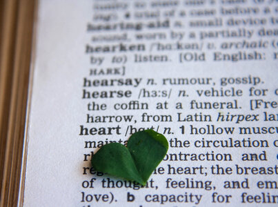 Heart Word Dictionary photo