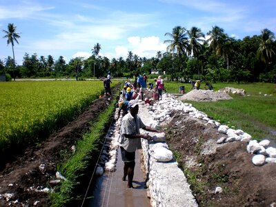 Building canal irrigation