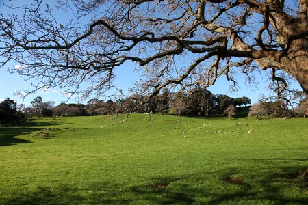 Landscape wilderness scenery photo