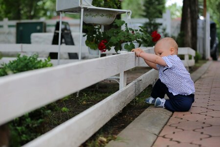 Toddler baby picket fence photo