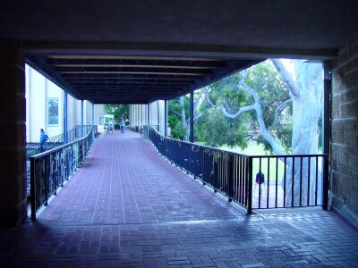 Australian boardwalk college