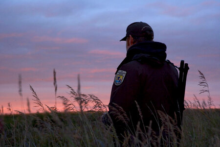 U.S. Fish and Wildlife employee gazing at the sky photo