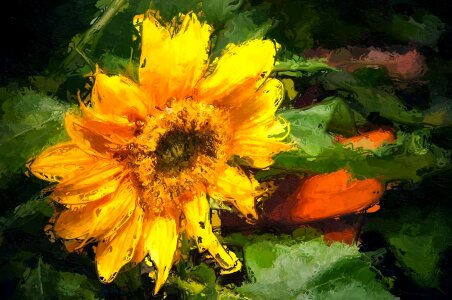 Fine Arts agriculture summer
