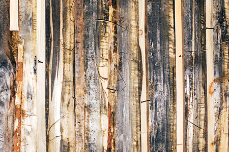 wood background photo
