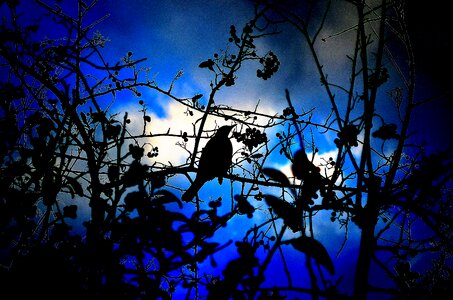 Effects blue sky
