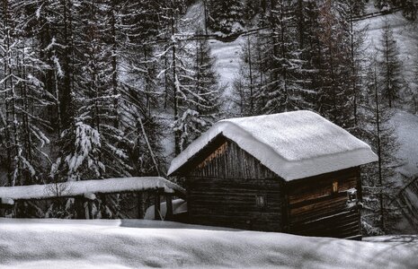 Hut Cabin Snow Forest Winter photo