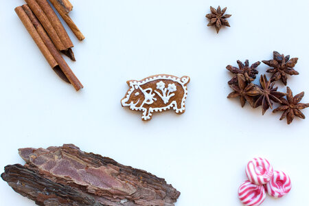 Cute homemade Christmas cinnamon gingerbread photo