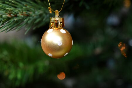 Christmas christmas tree golden glow photo