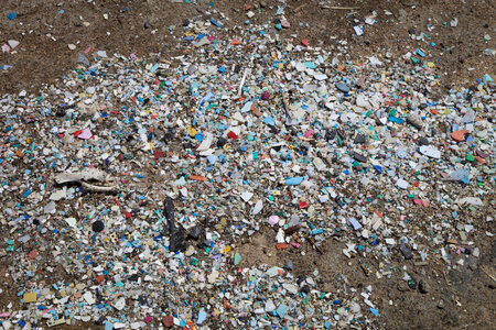 Plastic pollution on Laysan Island-3 photo
