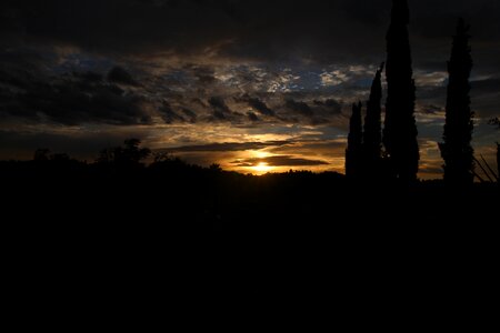 Horizin yellow dawn