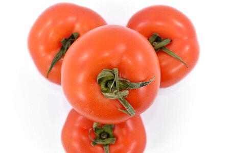 Herb organic tomatoes photo