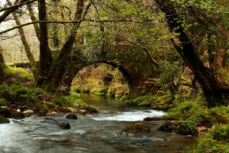 Autumn creek environment photo