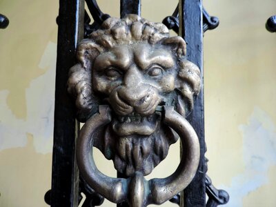 Bronze gateway lion photo