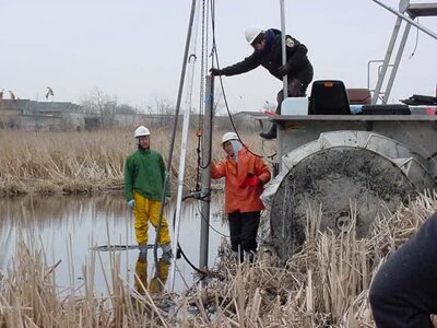 Collecting marsh 