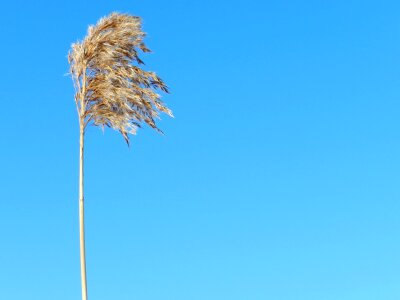 Spring summer season