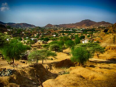 Scenic desert camels
