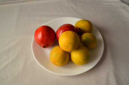 Citrus color colorful
