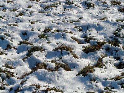 Snow winter cold