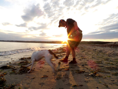 Man playing on beach with dog