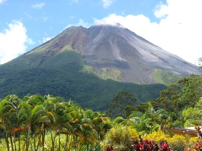 Volcano plant landscape