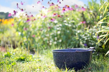 Nature outdoors antique