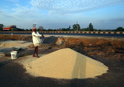 India grain food