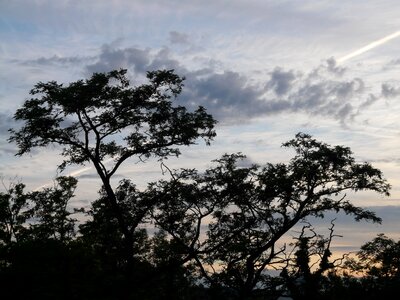 Mood landscape nature