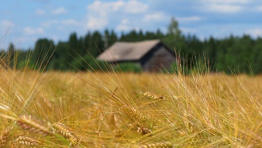 Finnish milieu landscape photo