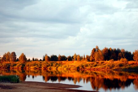 Forest nature lake