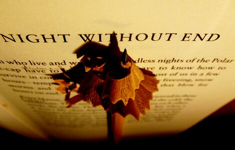 Reading book letters