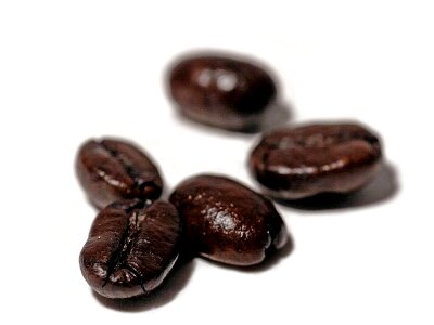 Beans cafe photo