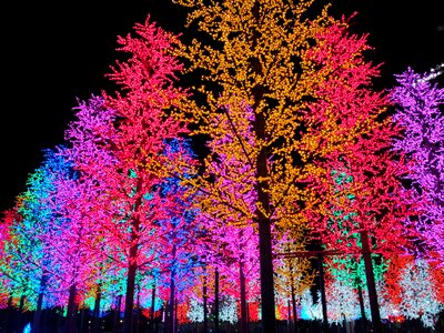 Light night colorful