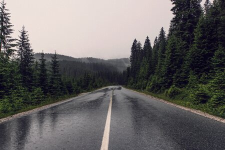 Wet Road photo