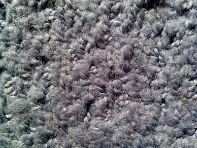 Close fleece gray