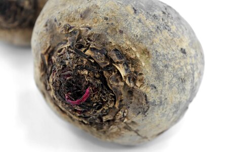 Agriculture antioxidant beetroot