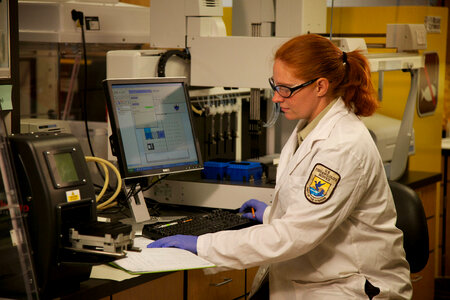 Laboratory analysis by Service geneticist