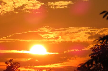 Romance nature summer