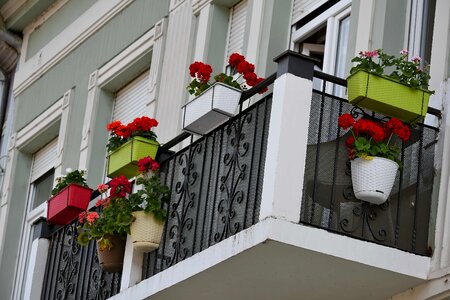 Balcony flowerpot urban area photo