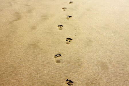 Footpath footprint footprints photo