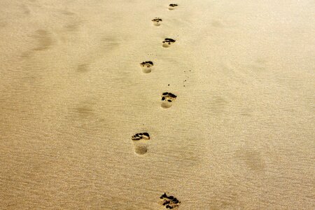 Footpath footprint footprints
