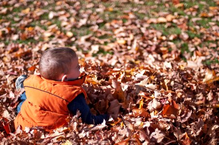 Child Playing In Fall Leaves photo