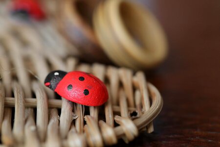 Ladybug wooden gift photo