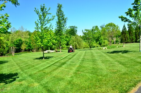 Grass cutting lawn mowing green care