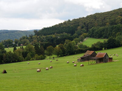 Stacks in a green field photo