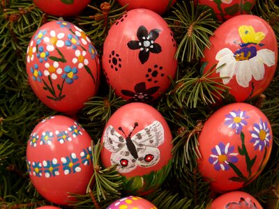 Easter egg painting easter eggs egg