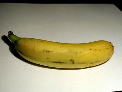 Background banana white